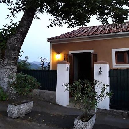 Petit Coin De Paradis Evisa Exteriör bild